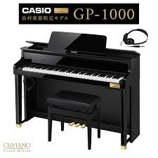 新品CASIO GP-1000