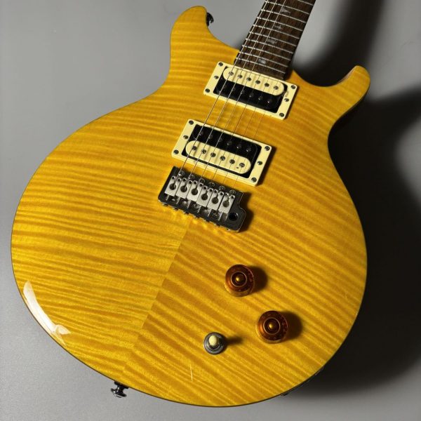 【新品】<br />
Paul Reed Smith(PRS) SE SANTANA <br />
<br />
￥135,520 