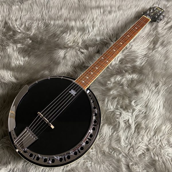Epiphone Stagebird 6-String Electric Banjo Mahogany【委託販売】<br />
<br />
¥68,000 