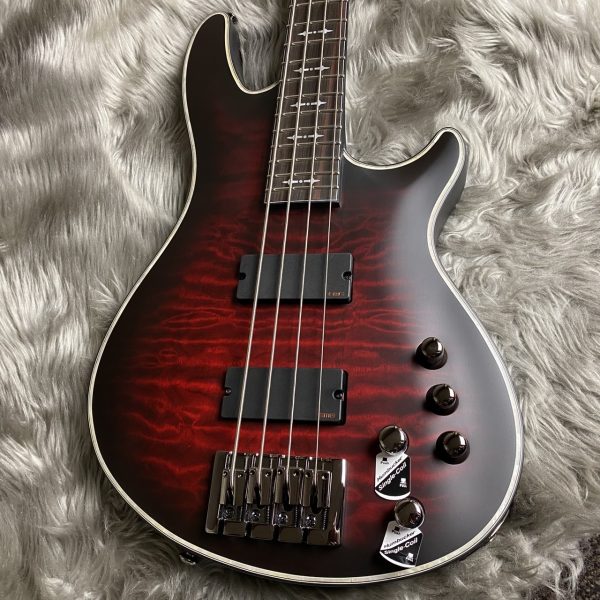 【新品】<br />
SCHECTER HELLRAISER EXTREME-4-CRBS<br />
<br />
￥198,000 