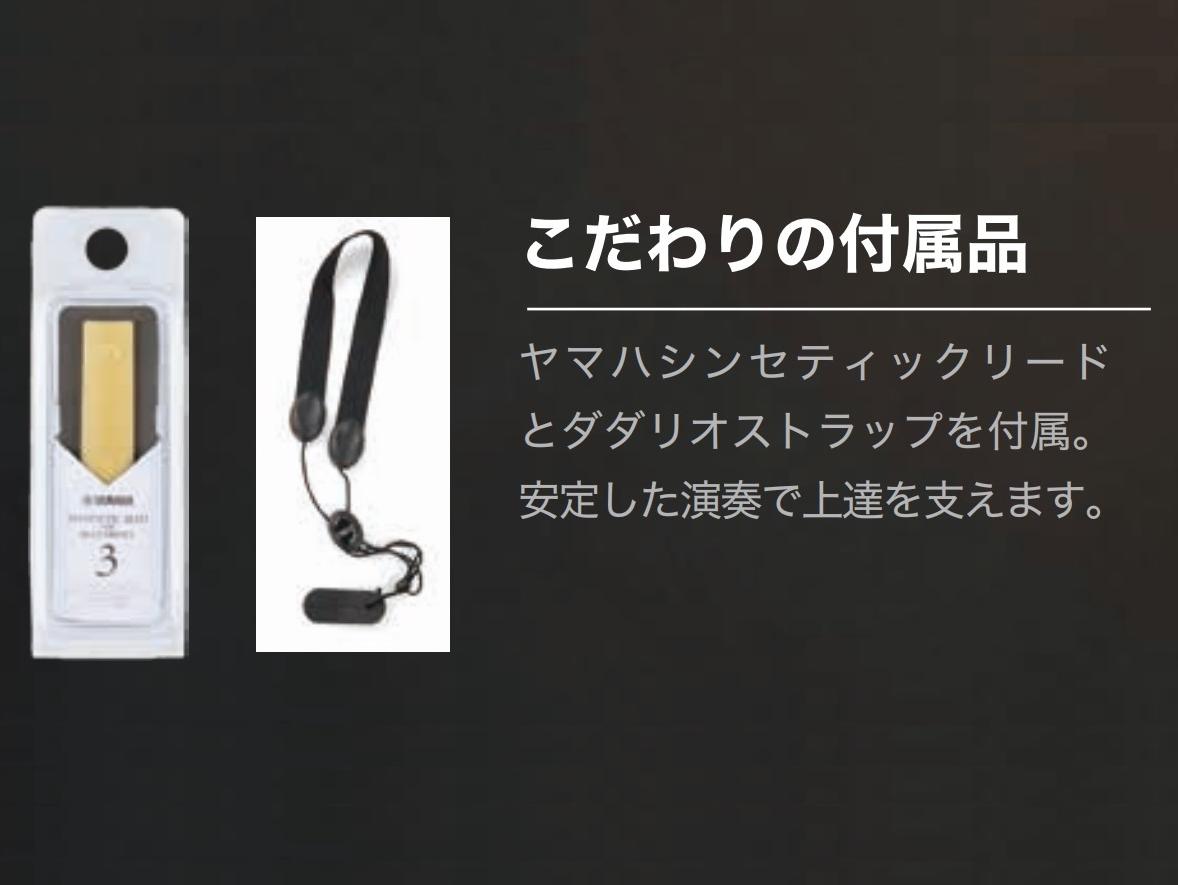 ストラップやリードもついてきます!
