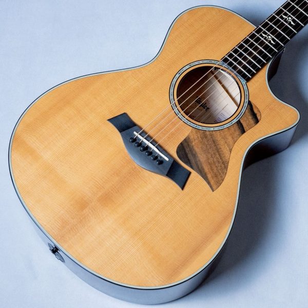 Taylor 612ce V-Class<br />
<br />
¥440,000 