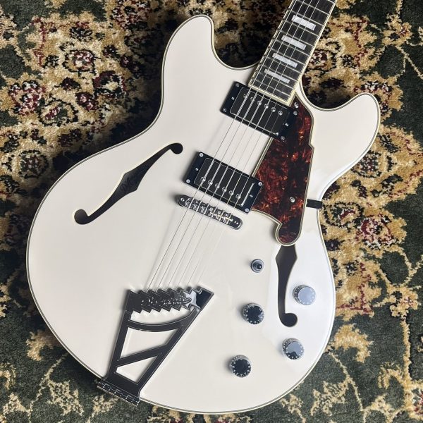 D'Angelico Premier DC CHMP/≒4.2kg/現物写真<br />
<br />
<br />
¥80,000 