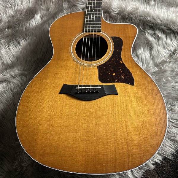 【新品】<br />
Taylor 214ce Rosewood Special Edition -Honeyburst 【現物画像】<br />
<br />
￥169,900 