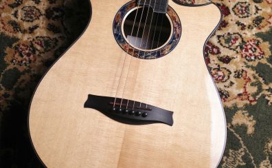 Leaf Instruments Renge SS/IR 【Sitka Spruce × Indian Rosewood】