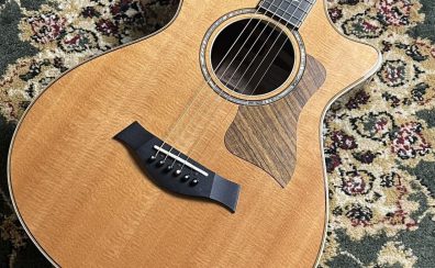 【中古アコギ/テイラー】Taylor 812ce 12Fret V-C/≒1.79kg/SN:1102139131/現物写真