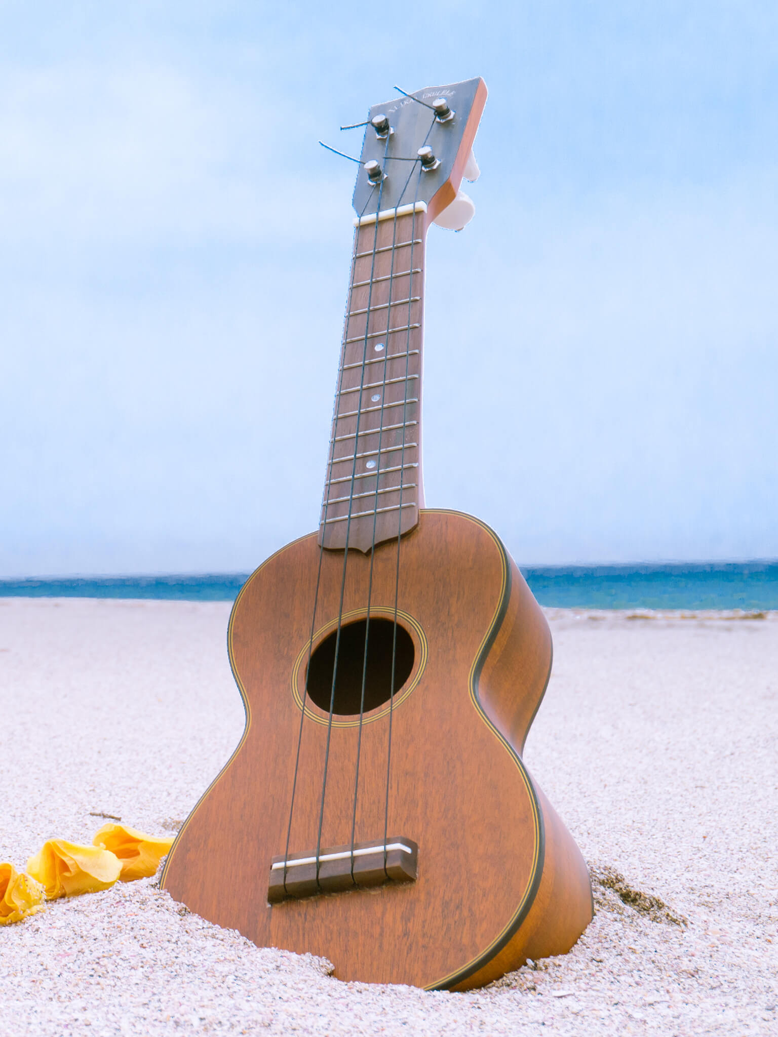 ===top=== *気軽に音楽を楽しめる！ウクレレ教室のご案内 **浜松市浜北区、天竜区、東区、北区、磐田市、新城市からのアクセスも便利！ 島村楽器プレ葉ウォーク浜北店では、ウクレレ教室を月・火・水・木・金・土・日曜日に開講しており、大人の方を中心に大人気です。]]ウクレレは比較的楽器のサイズが小 [&hellip;]