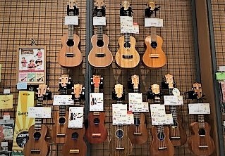 音楽を始めたいならウクレレ！がオススメです。 こんにちは。島村楽器浜北店ウクレレ担当の鈴木です。]]音楽を始めたい。でも、どの楽器にしようか悩んでいる…そういった方に、ウクレレをおススメします。]]なぜかと言うと、ウクレレは誰にでもどんな曲でも似合うからです。 このページでは、浜北店のウクレレライン […]