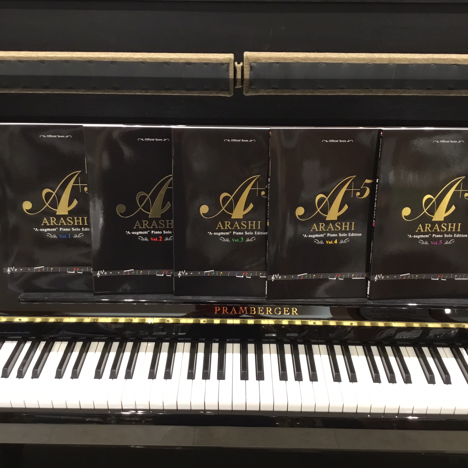 まとめ買い 嵐／Ａ＋５ Piano Solo Edition Vol.1〜5 | www.butiuae.com