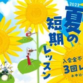 入会金不要の3回お試しレッスン！夏の短期レッスン実施中！