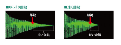 アコースティック音