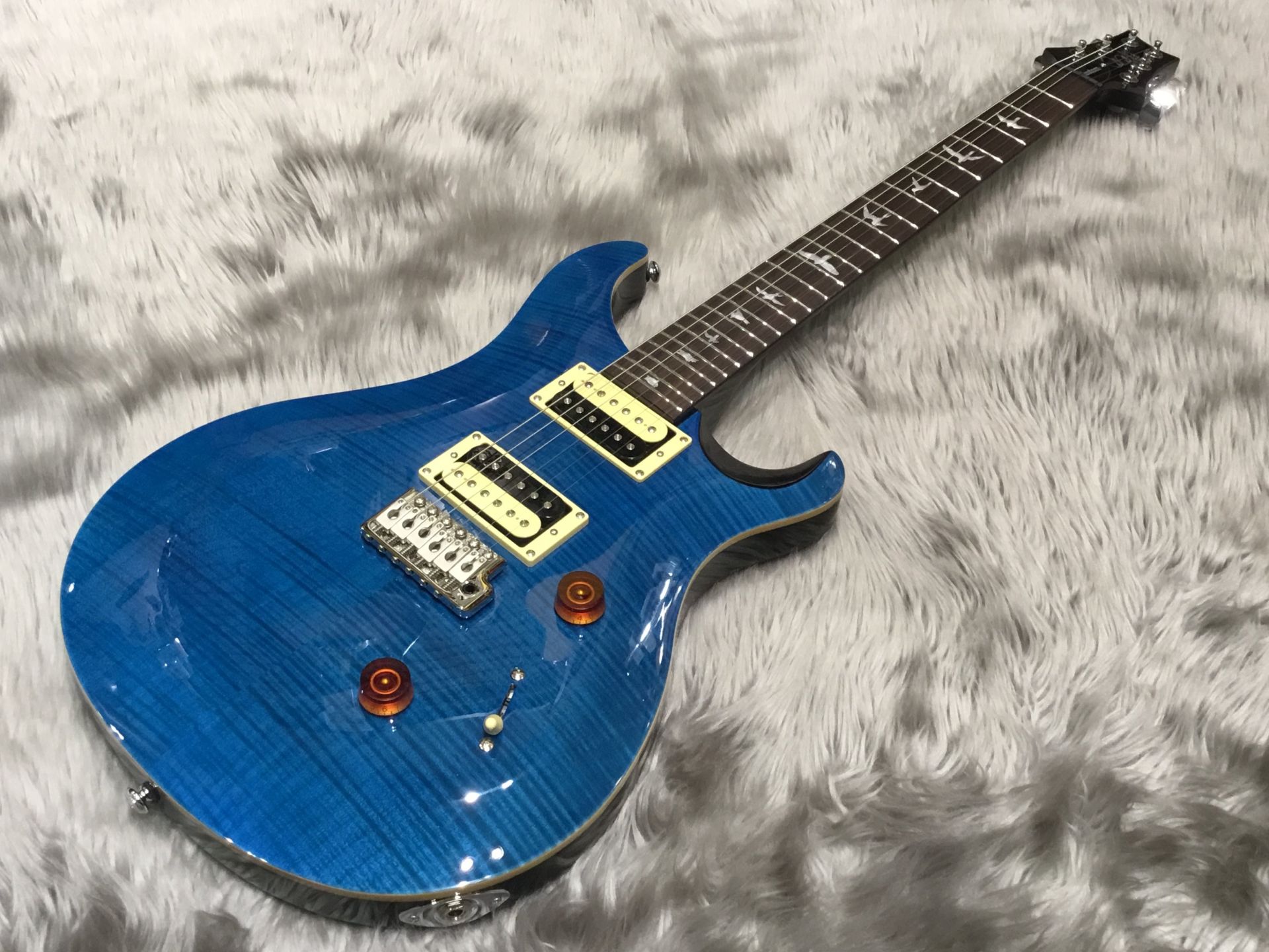 PRS SE CUSTOM 24 N BT