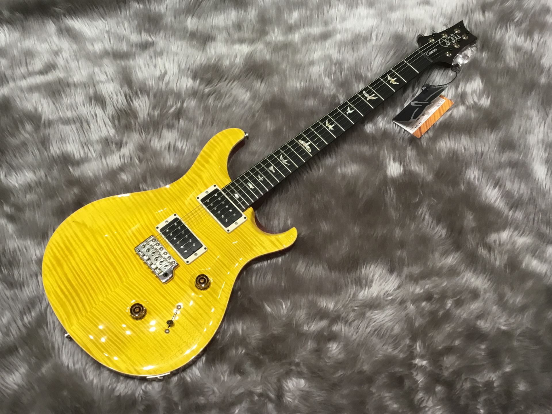 PRS Custom24 VY