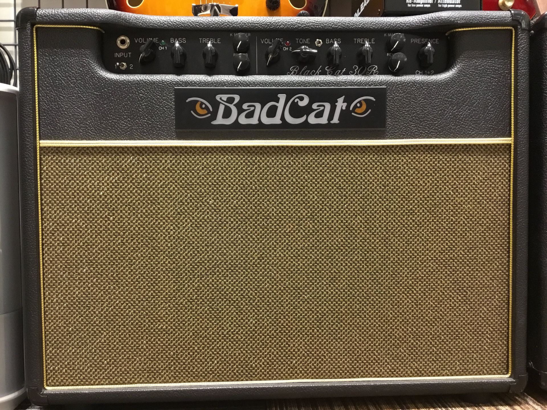 BadCat  BlackCat30R