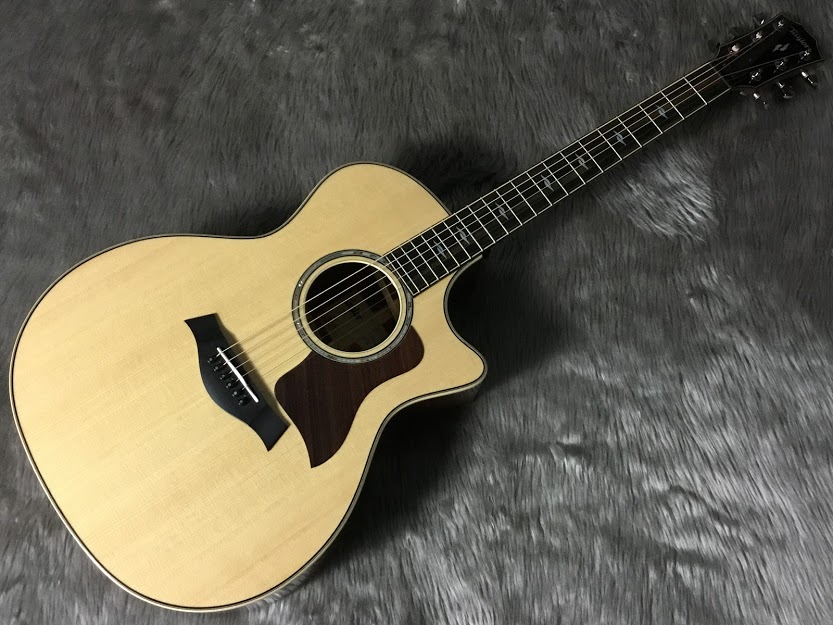 【Newスタッフ白井のおススメ楽器】Part.4　Taylor/814ce V-Class