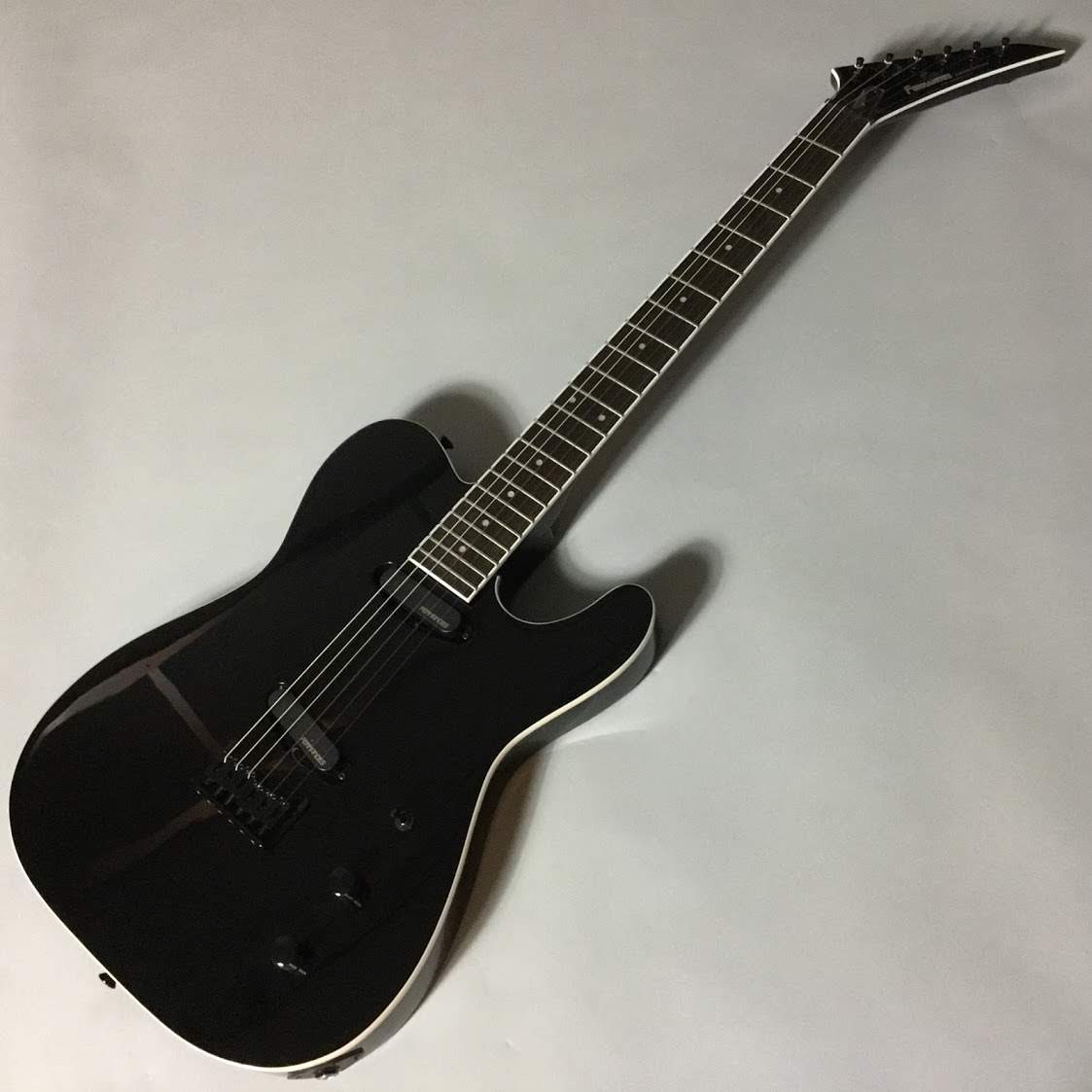 FERNANDES/TEJ-STD 2S 2019入荷しました！