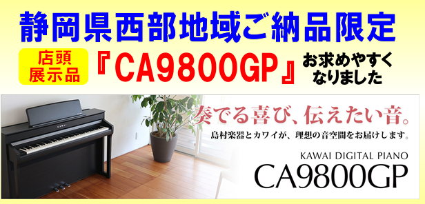 店頭展示品【CA9800GP】お求めやすくなりました！！