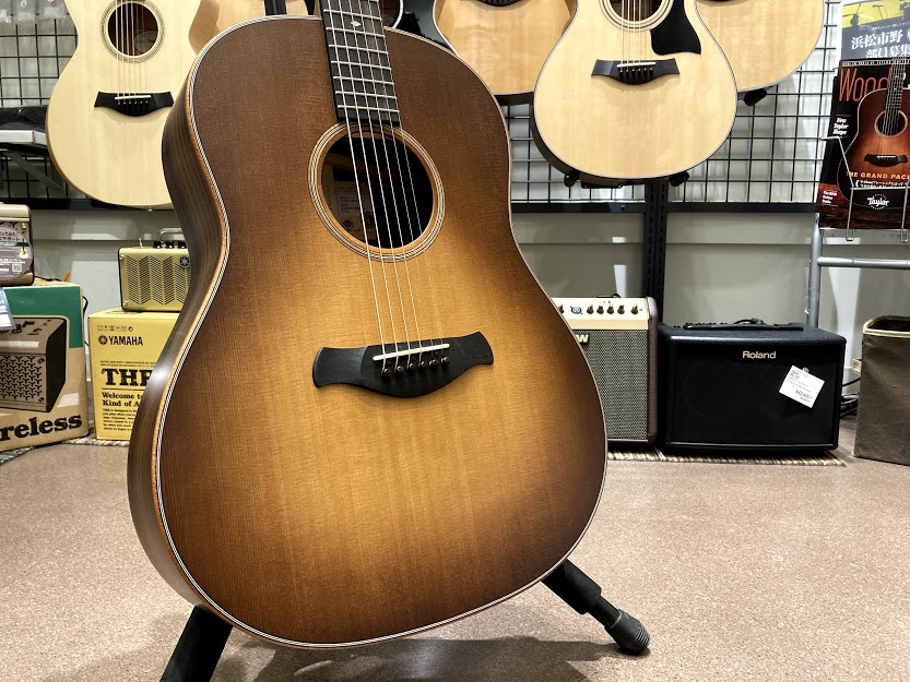 Taylor / BE 717e V-Class入荷しました！