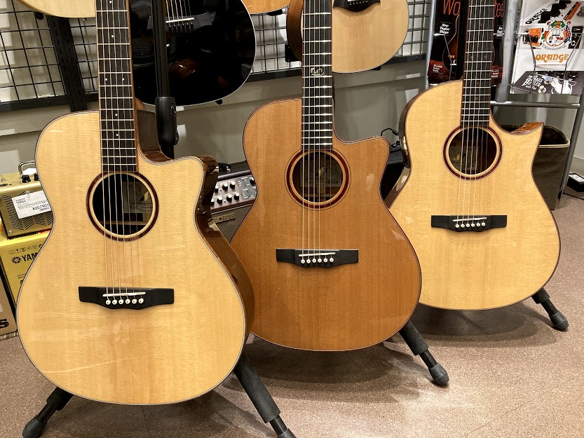 フィンガーピッキングに最適！！MORRIS/Sシリーズ入荷しました！