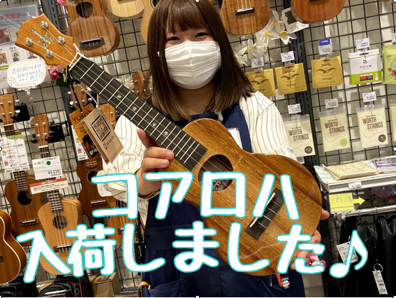 コアロハ/KCM-00入荷しました！！