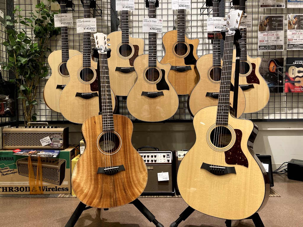 Taylorの人気機種が2本入荷致しました！！