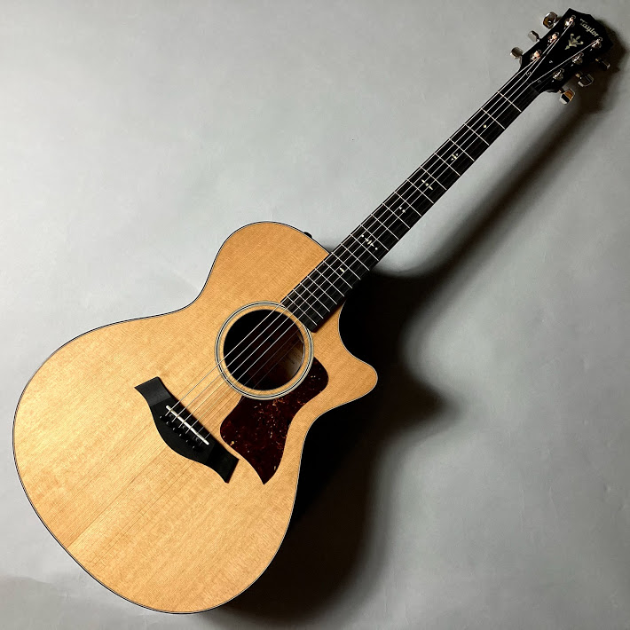 【スタッフ白井のおススメ楽器】Part.12　Taylor/512ce V-Class NrwNut