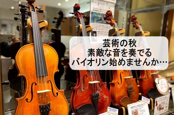【芸術の秋】お薦めバイオリンご紹介！！