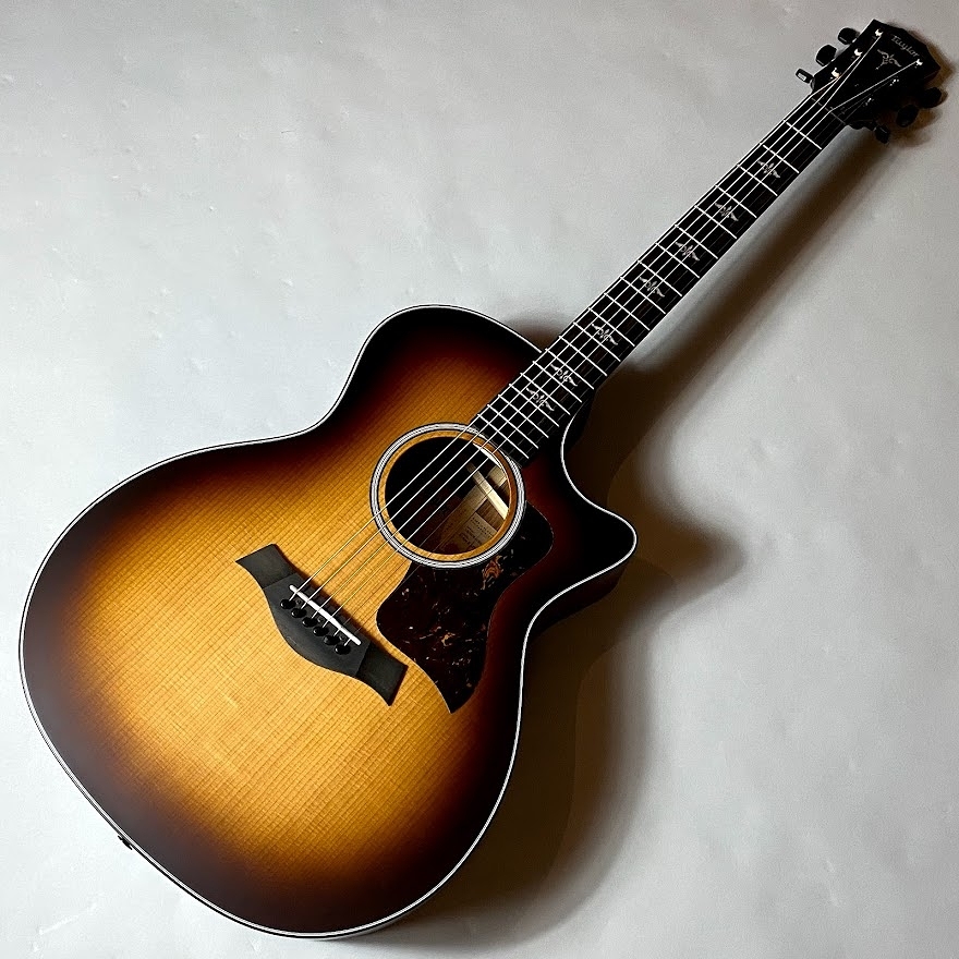 【スタッフ白井のおススメ楽器】Part.17　Taylor/LTD 314ce K/TRS