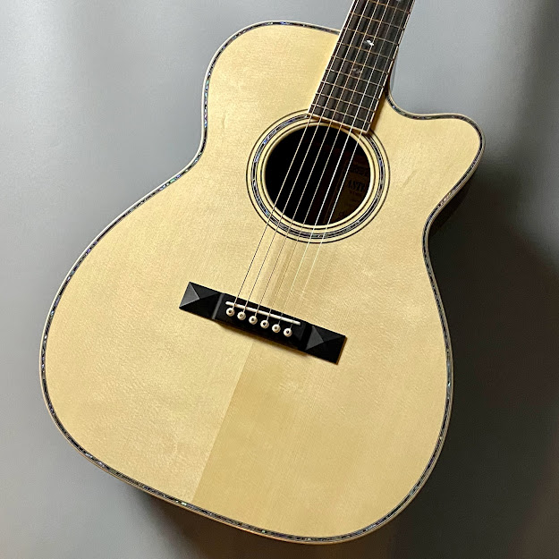 アコースティックギターASTURIAS/SOLO PREMIUM