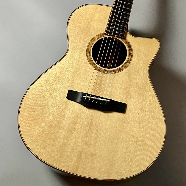 アコースティックギターMorris/SE-103