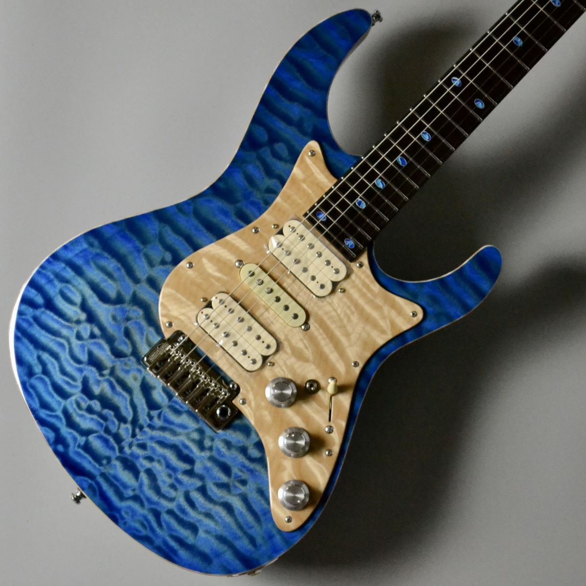 FREEDOM CUSTOM GUITAR RESEARCHHydra Jacaranda Custom/SER