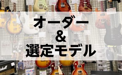 浜松市野店オーダー＆選定モデル一覧