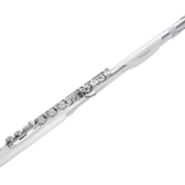 Roland Aerophone　Brisaフルートのレイアウトを採用した新たな電子管楽器！