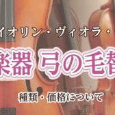 【弦楽器】弓の毛替えっていつしたらいいの！？【イオンモール羽生】