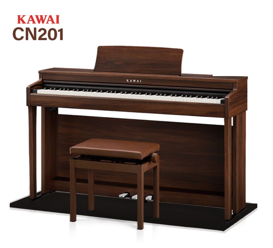 KAWAICN201