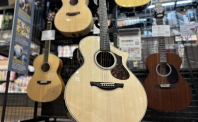 「HISTORY」大人のアコースティックギターのすすめ