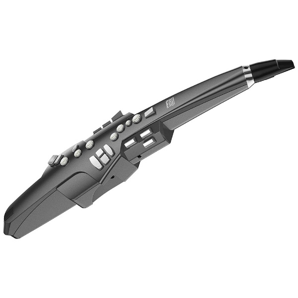 デジタル管楽器レッスン　音楽教室開講中！～大人のためのミュージックサロン～