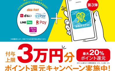 【アリオ橋本店】かながわPayで10％ポイント還元ご利用いただけます！