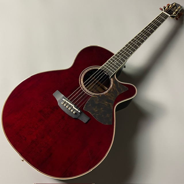 エレアコギターTakamine　DMP50S WR