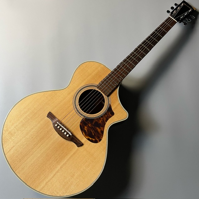 エレアコギターHISTORY　NT-C4 Natural