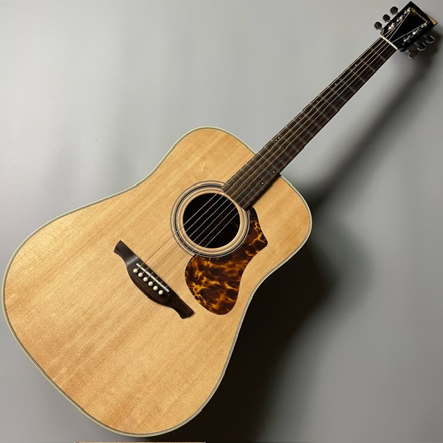 エレアコギターHISTORY　NT-L4 Natural