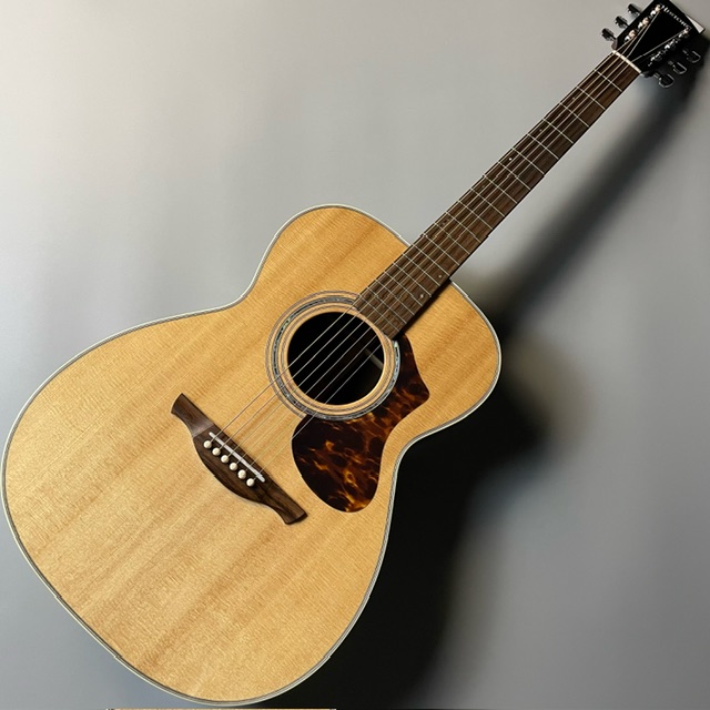 エレアコギターHISTORY　NT-S3 Natural