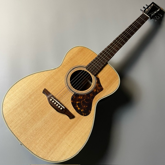 エレアコギターHISTORY　NT-S4 Natural
