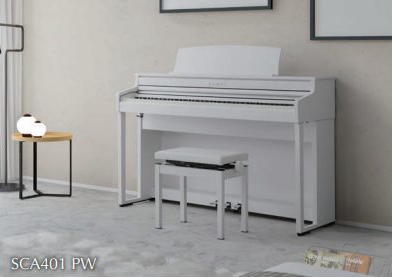 【SCA401】<br />
￥209,000(税込)
