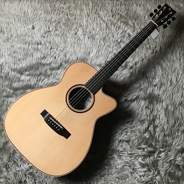 エレアコギターSolo LTD/C/PU