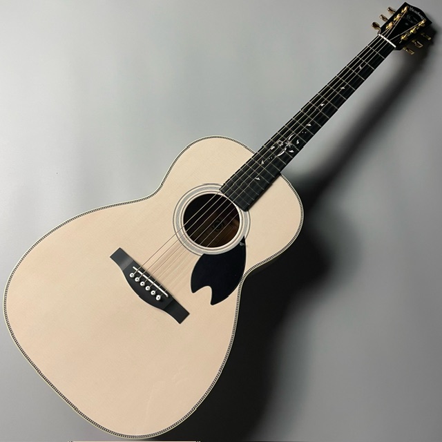 アコースティックギターHBC-Fyzkr22N S/STD