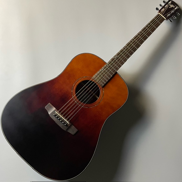 アコースティックギターSL-PF2 VSB