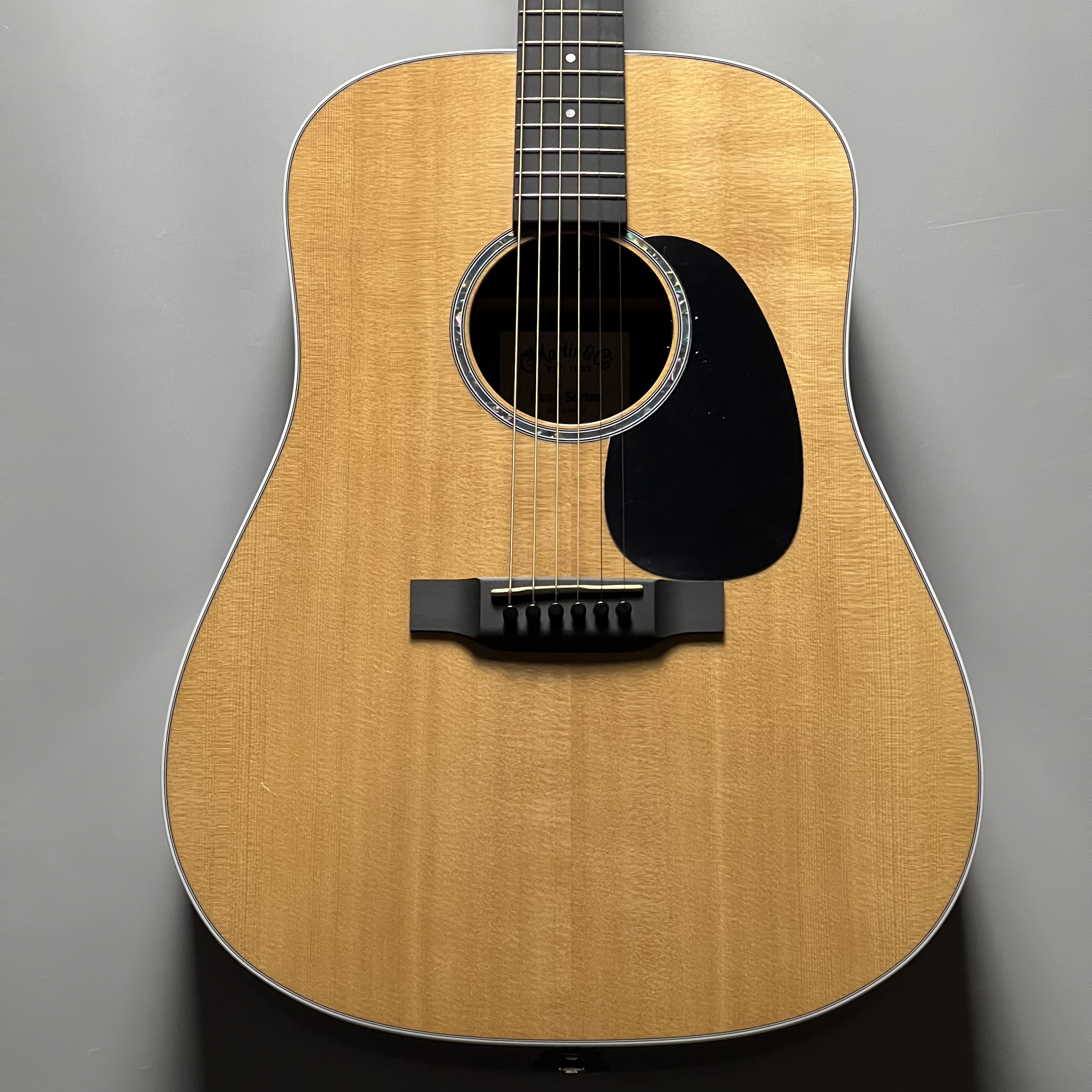 エレアコギターD-13E-01