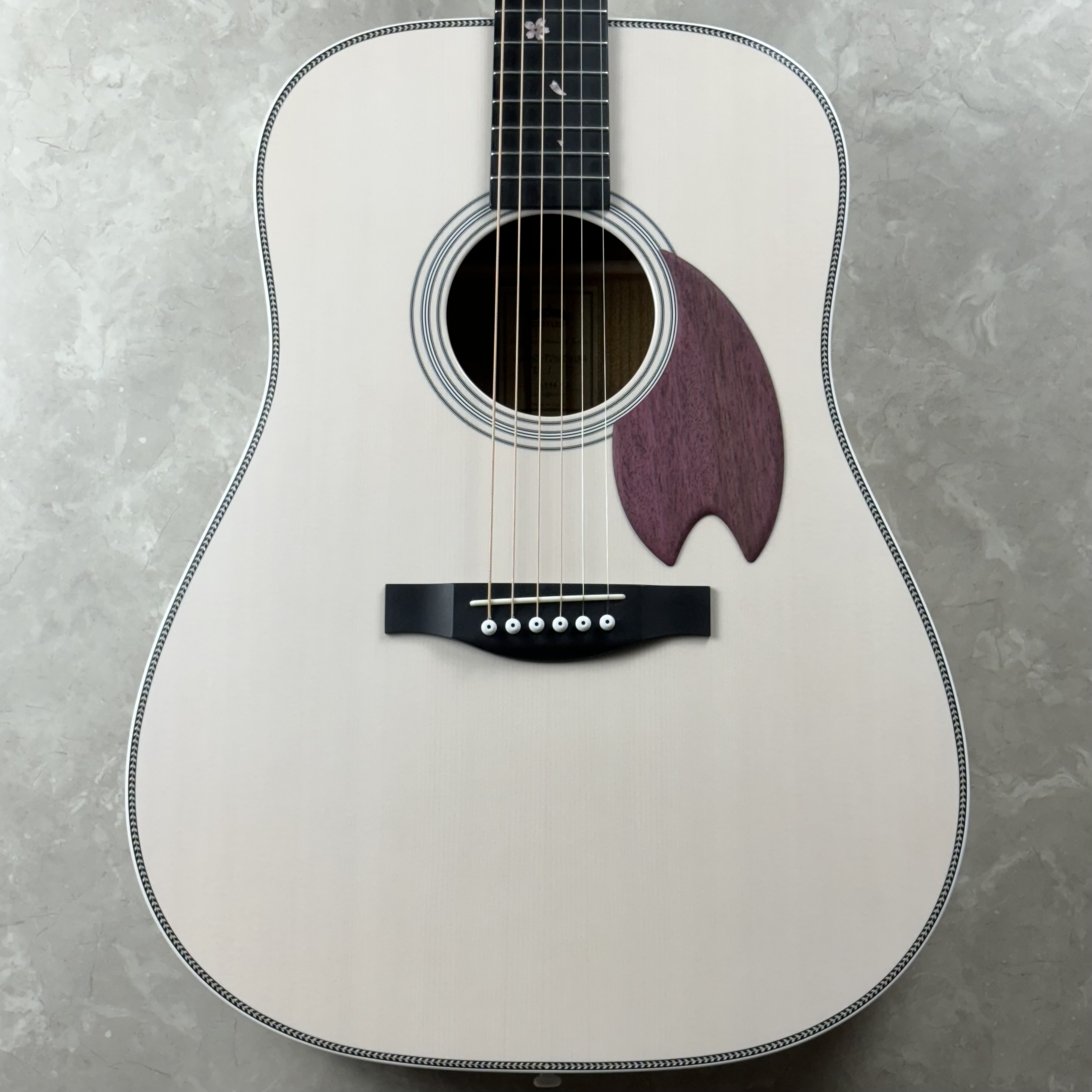 アコースティックギターHD-FUYUZAKURA25/STD