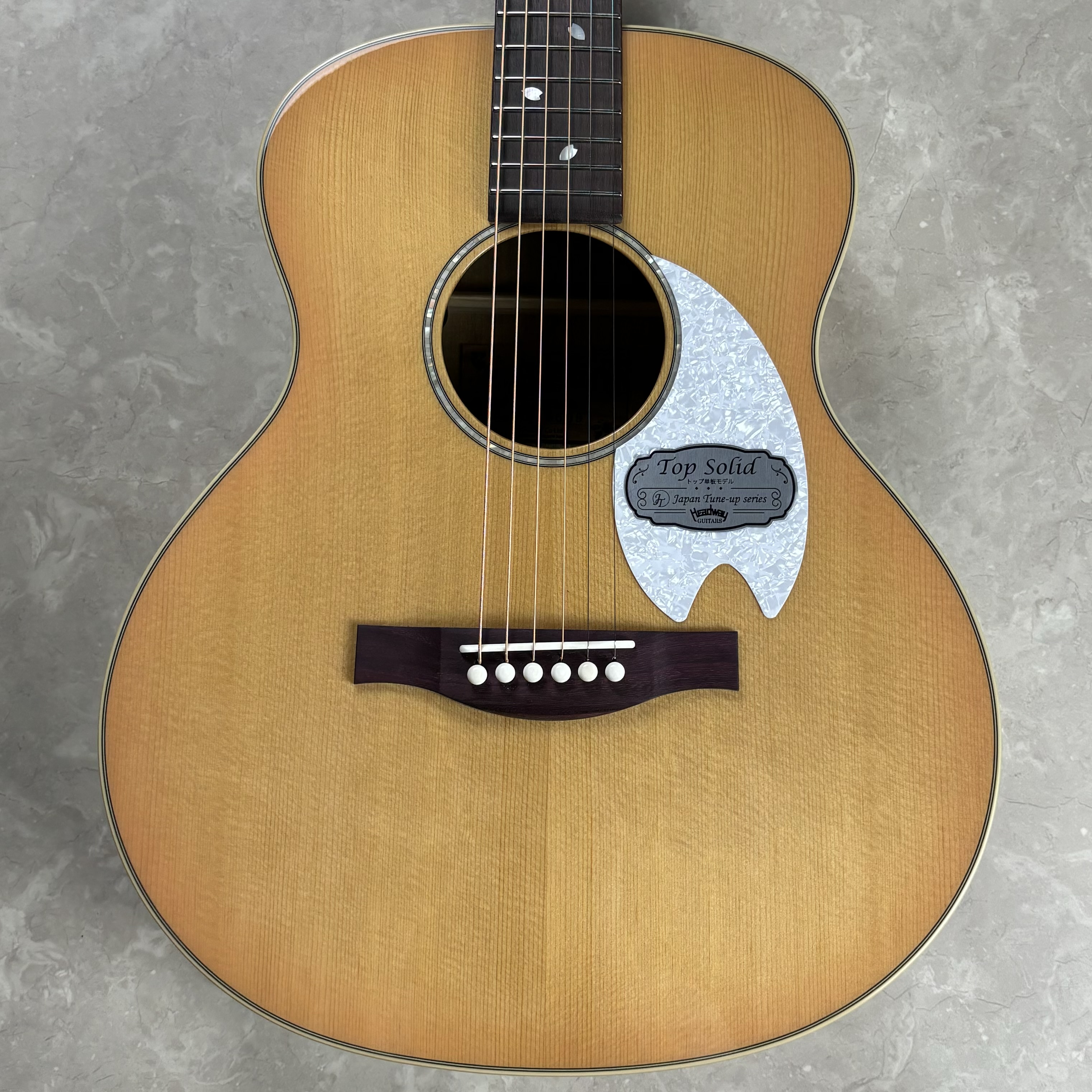 アコースティックギターHTJ-SAKURA